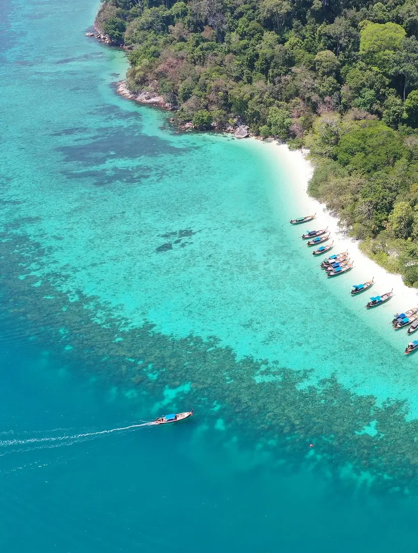 Aerial coastline view